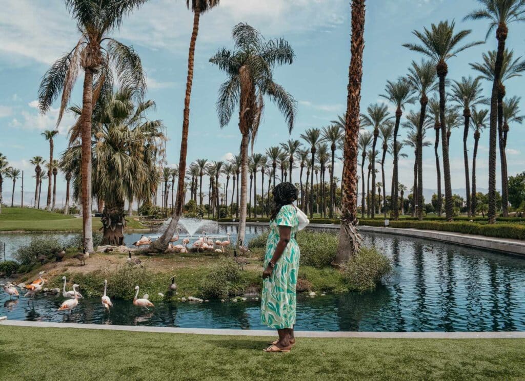 is palm springs worth visiting