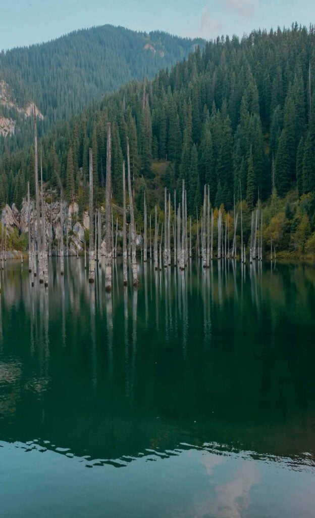 Submerged spruce tree trunks reflected in the deep green water of Kaindy Lake in Kazakhstan’s Tian Shan Mountains.