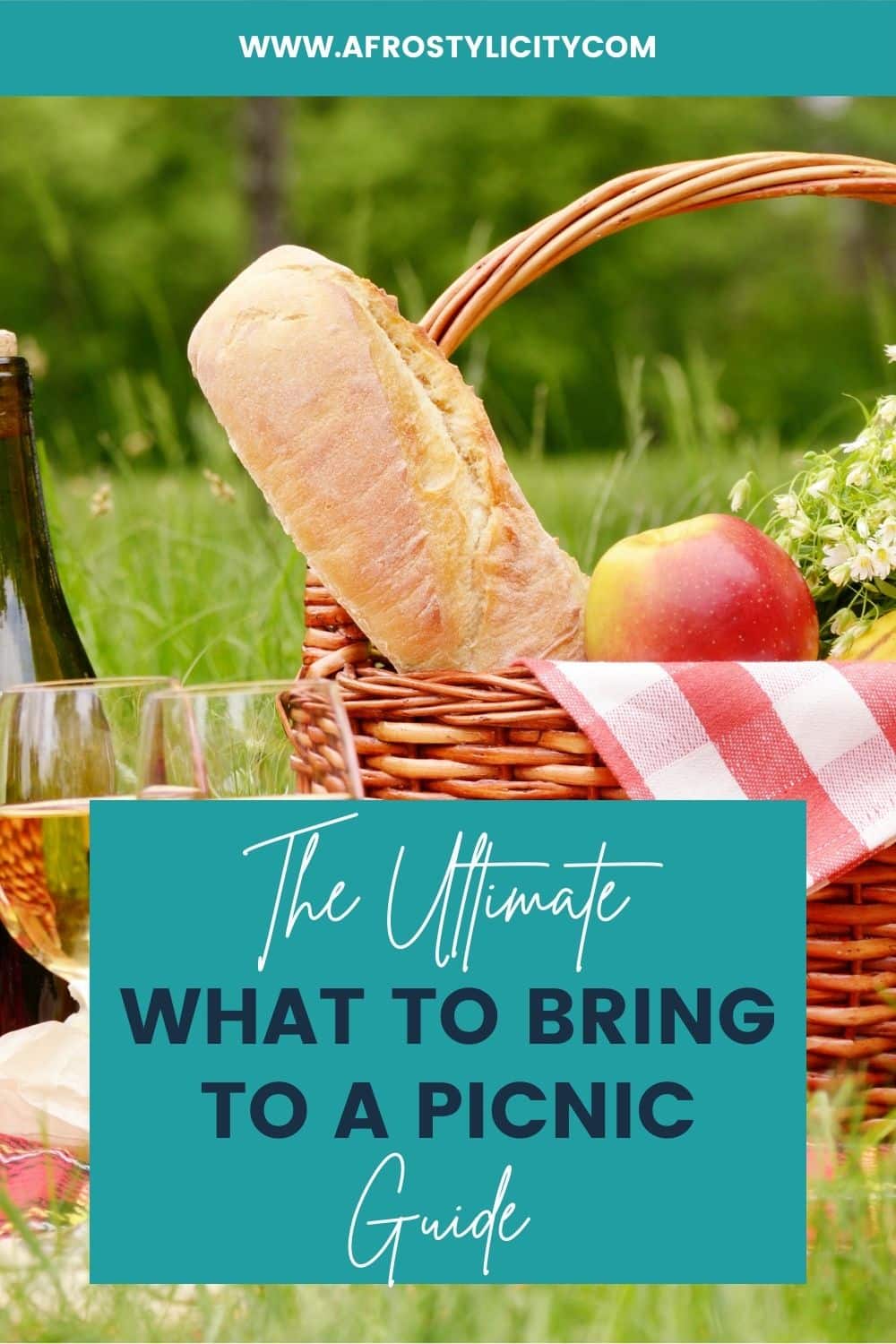 What to Bring on a Picnic (Handy 2024 Guide) Afrostylicity