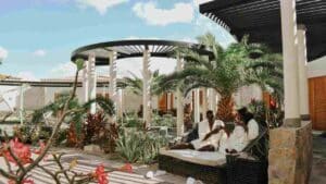 wellness travel experiences