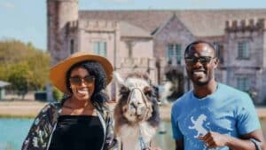 texas llama walk