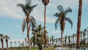 is palm springs worth visiting