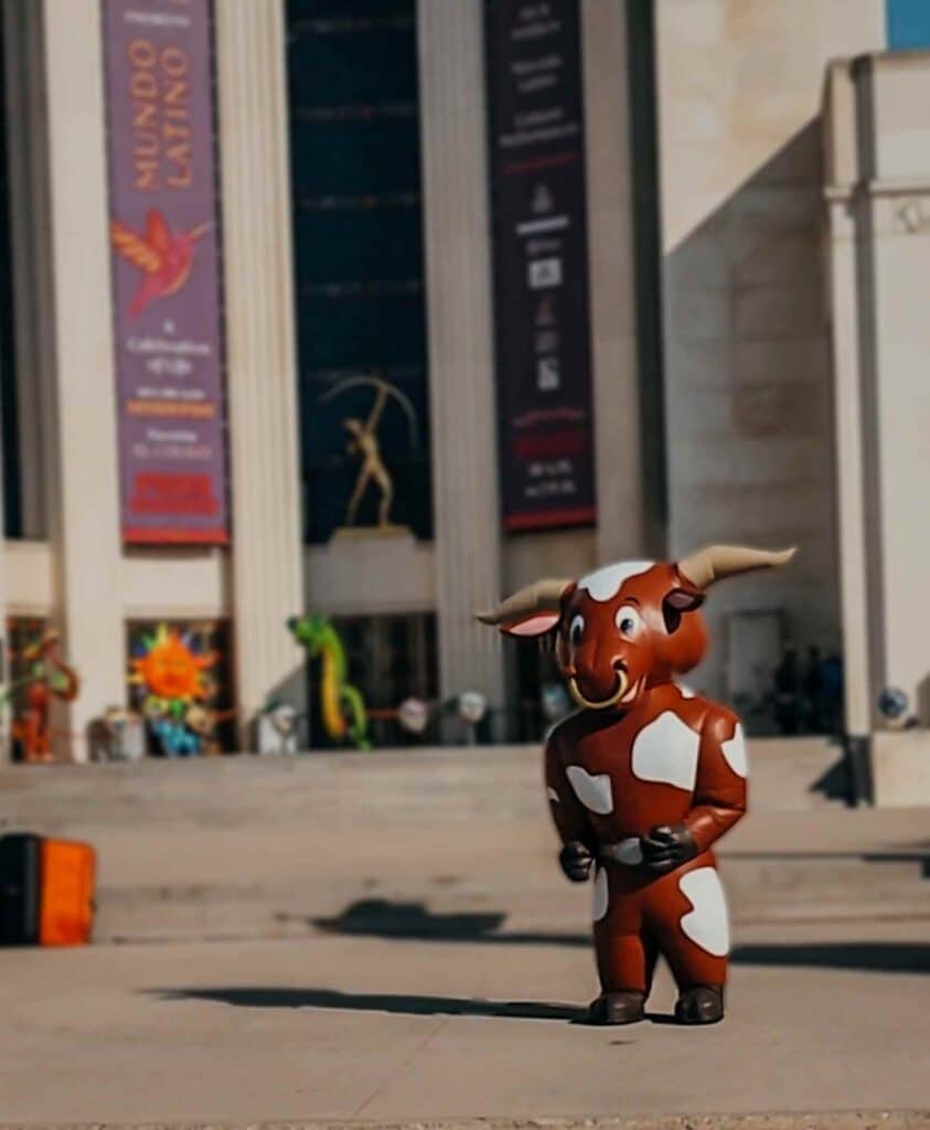 texas longhorn at the dallas state fair
