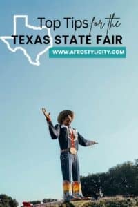 top tips for the texas state fair