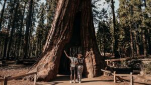 black friday travel deals