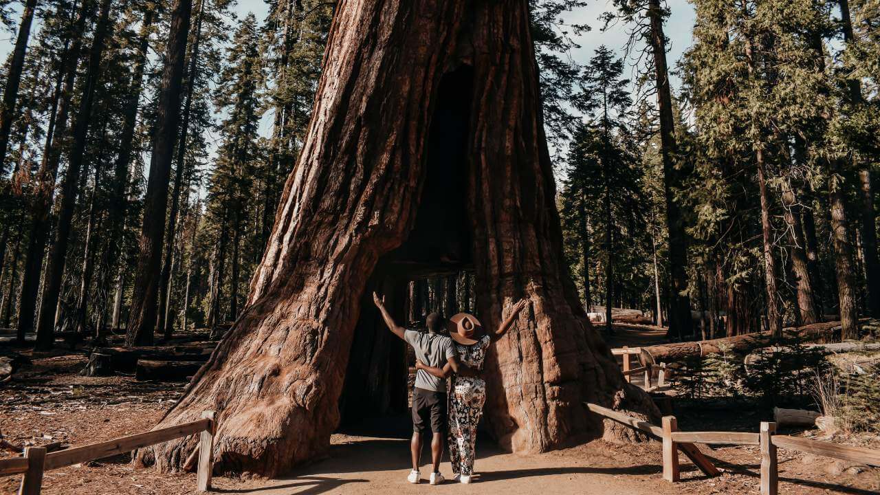 black friday travel deals