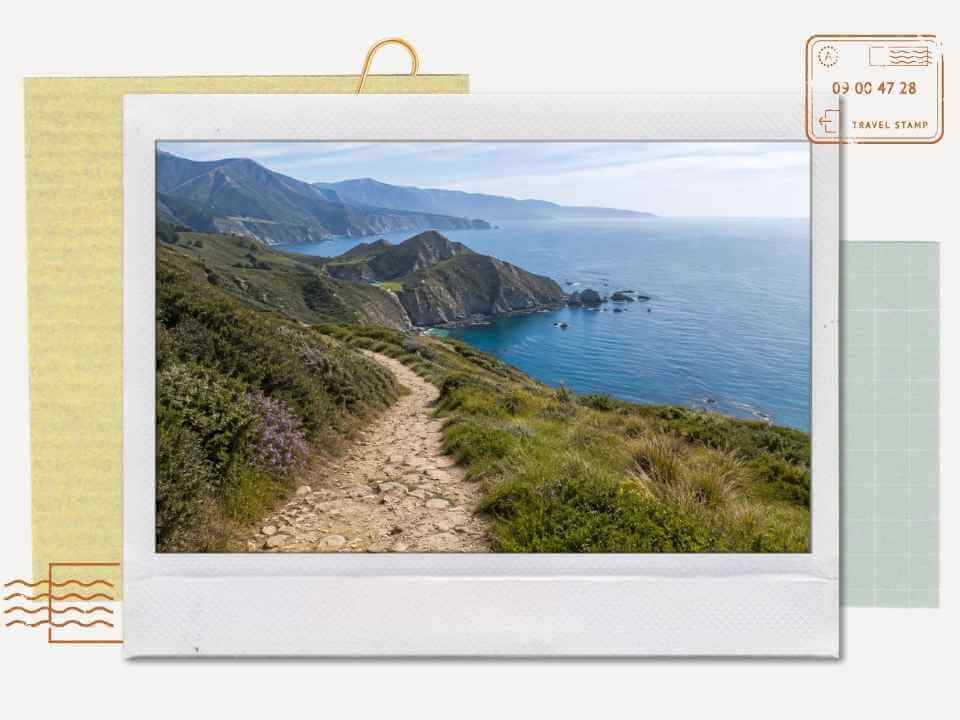 Coastal hiking trail winding along cliffside greenery