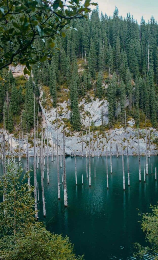 Submerged tree trunks rising from the turquoise water of Kaindy Lake, surrounded by rocky cliffs and evergreen forest in Kazakhstan.